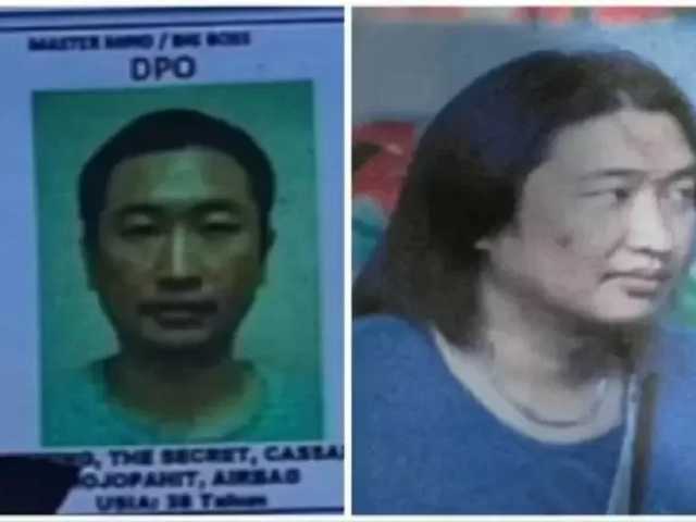 Search image article