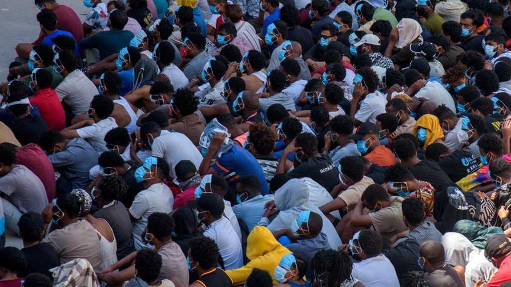 Search image article