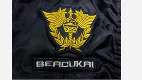 Search image article