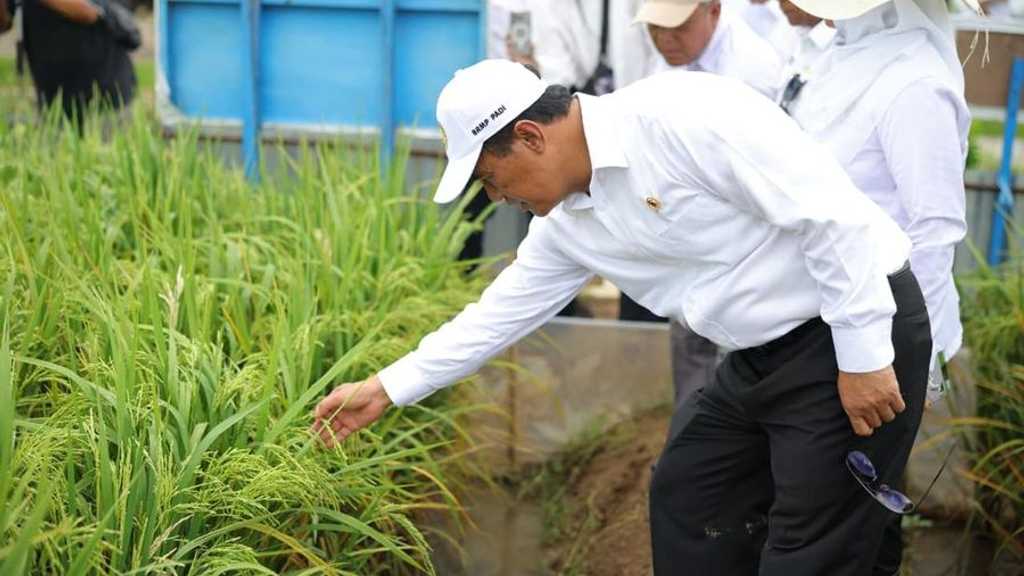 Search image article