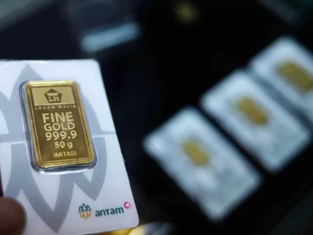 Search image article