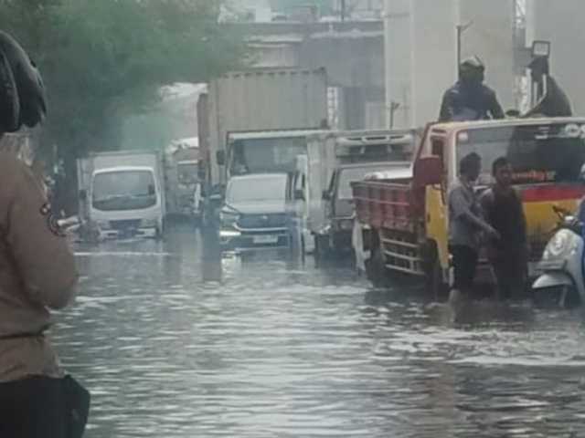 Search image article