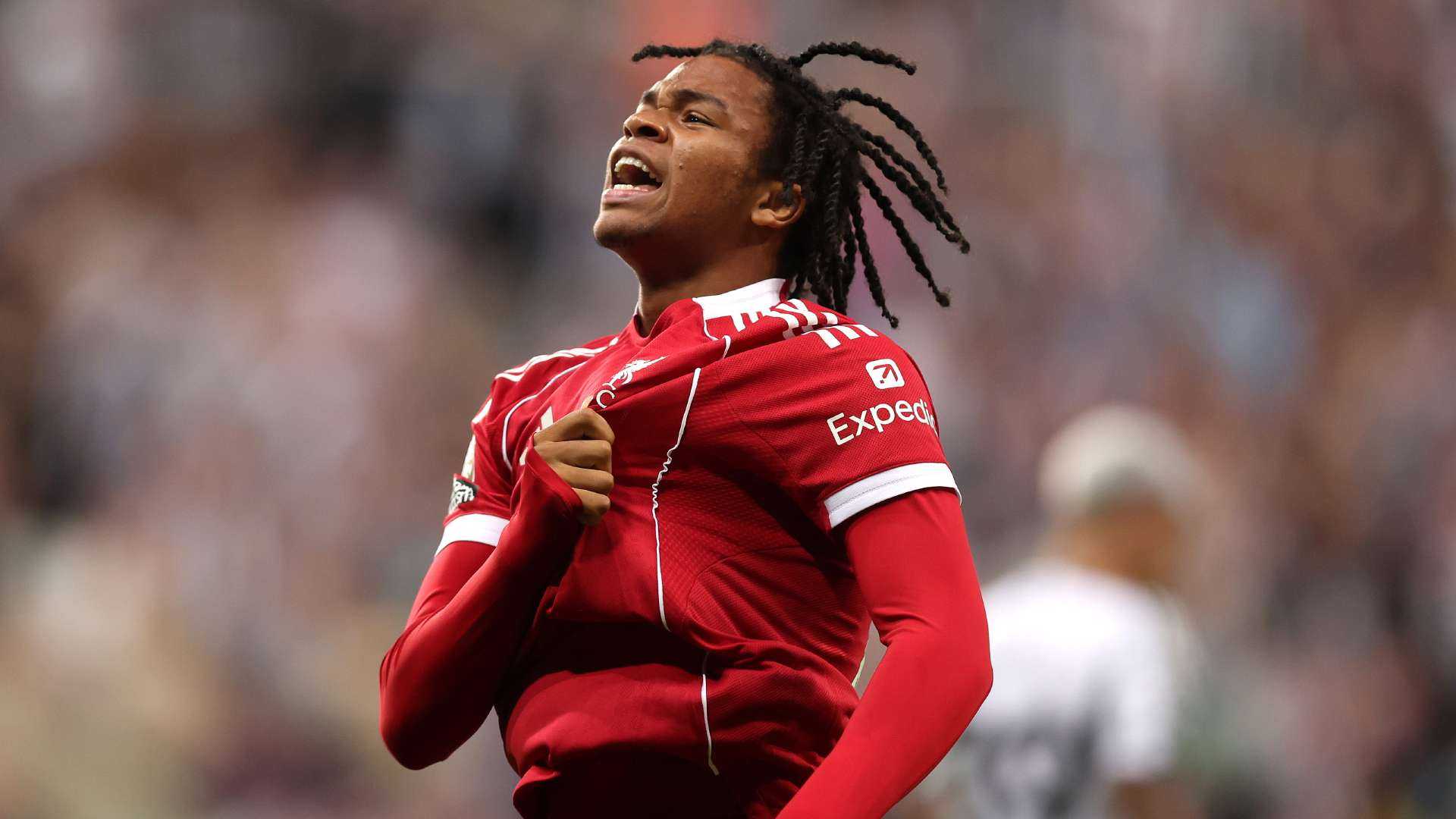 Search image article