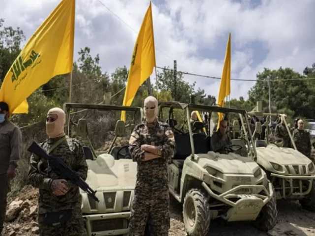 Search image article