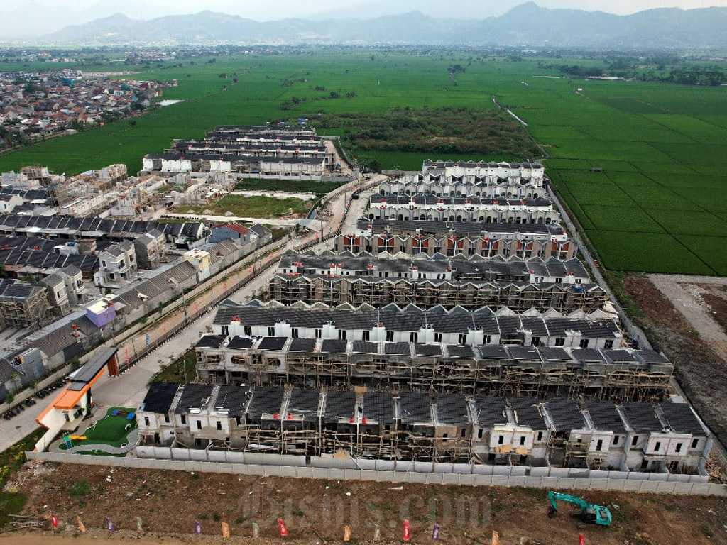 Search image article