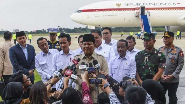 Search image article