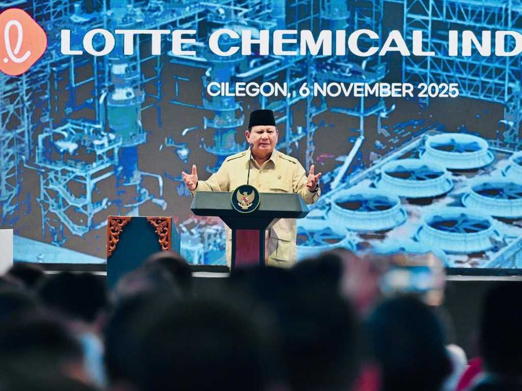 Search image article