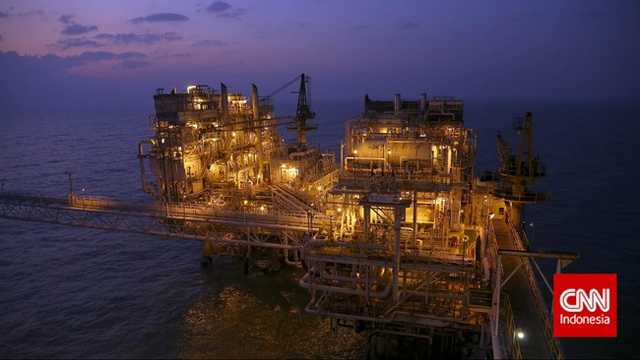 Search image article