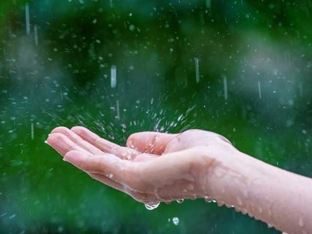 Search image article