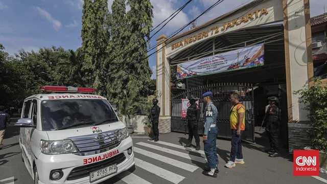 Search image article