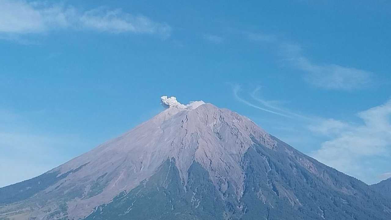 Search image article