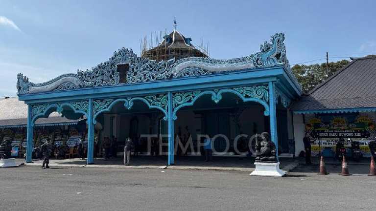 Search image article