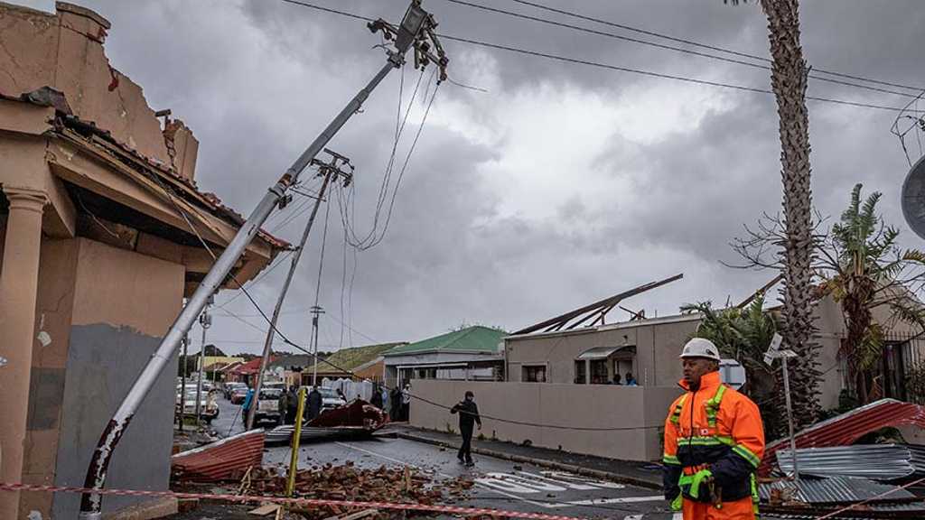 Search image article