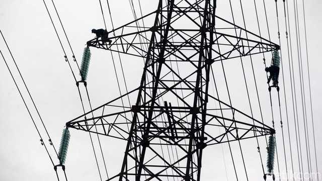 Search image article