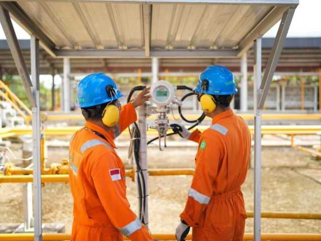 Search image article