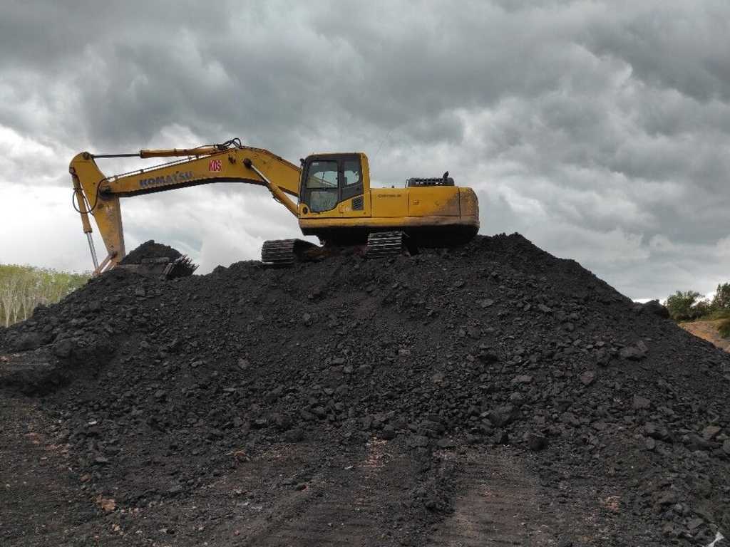 Search image article