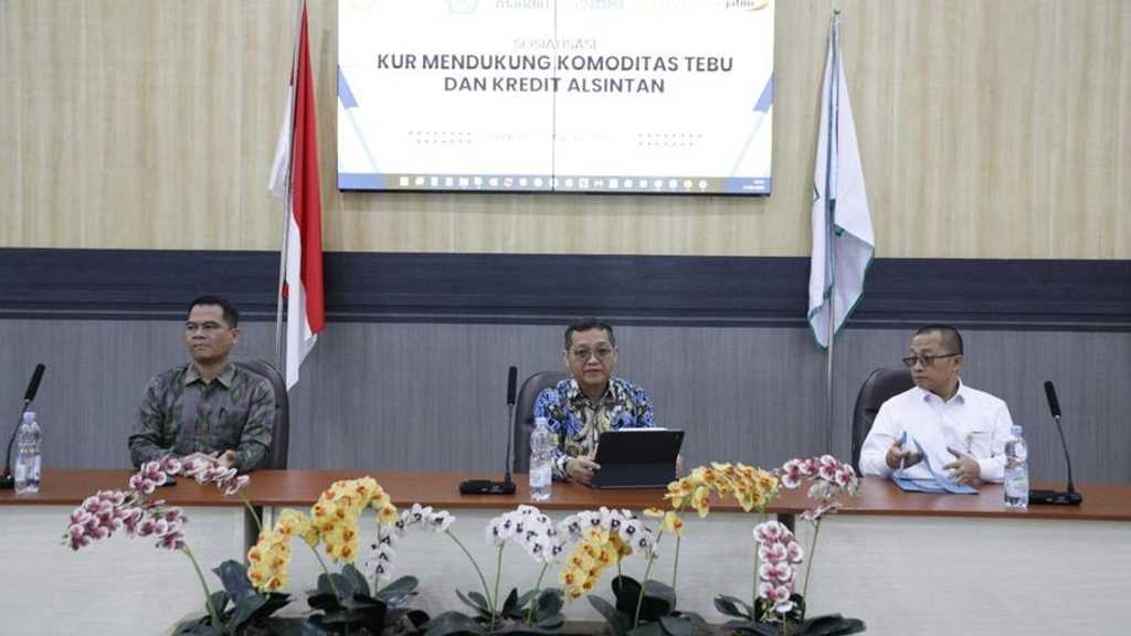 Search image article