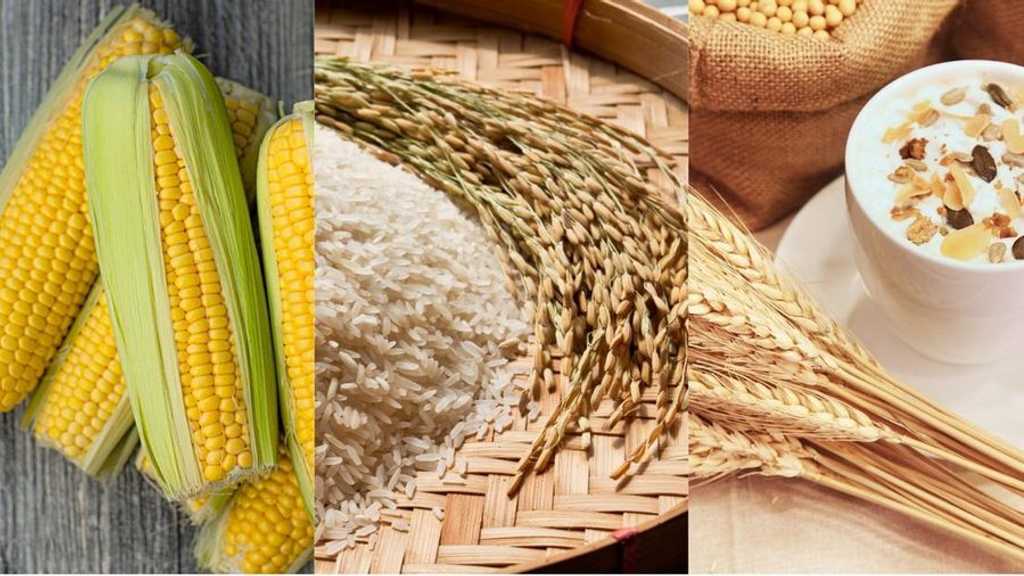 Produksi Pangan Dunia Melonjak, Tapi Iklim Ekstrem Ancam Krisis Global