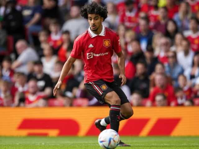 Search image article