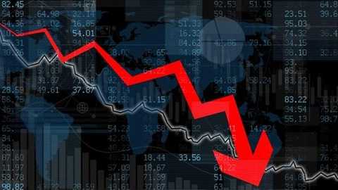 Search image article