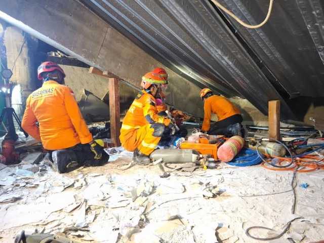 Search image article