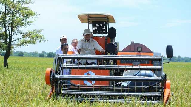 Search image article