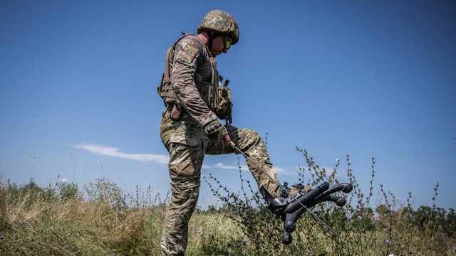 Search image article