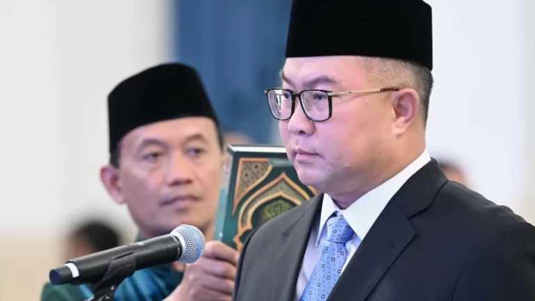 Search image article