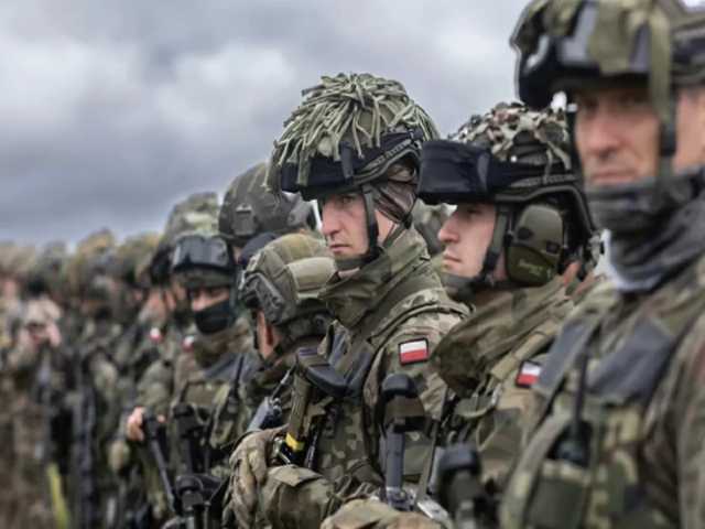 Search image article