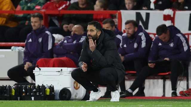 Search image article