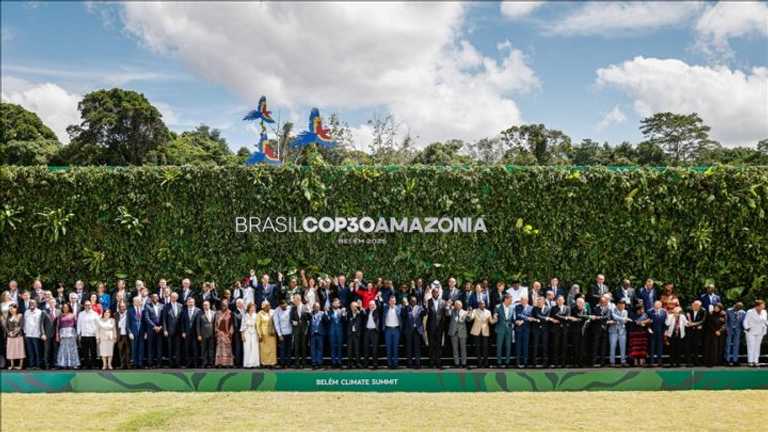 Search image article