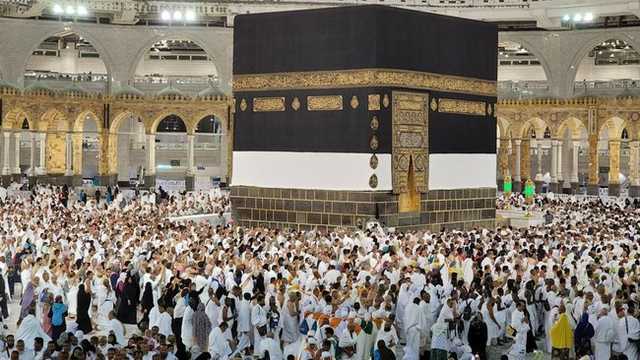 Search image article