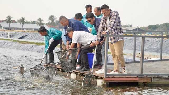 Search image article