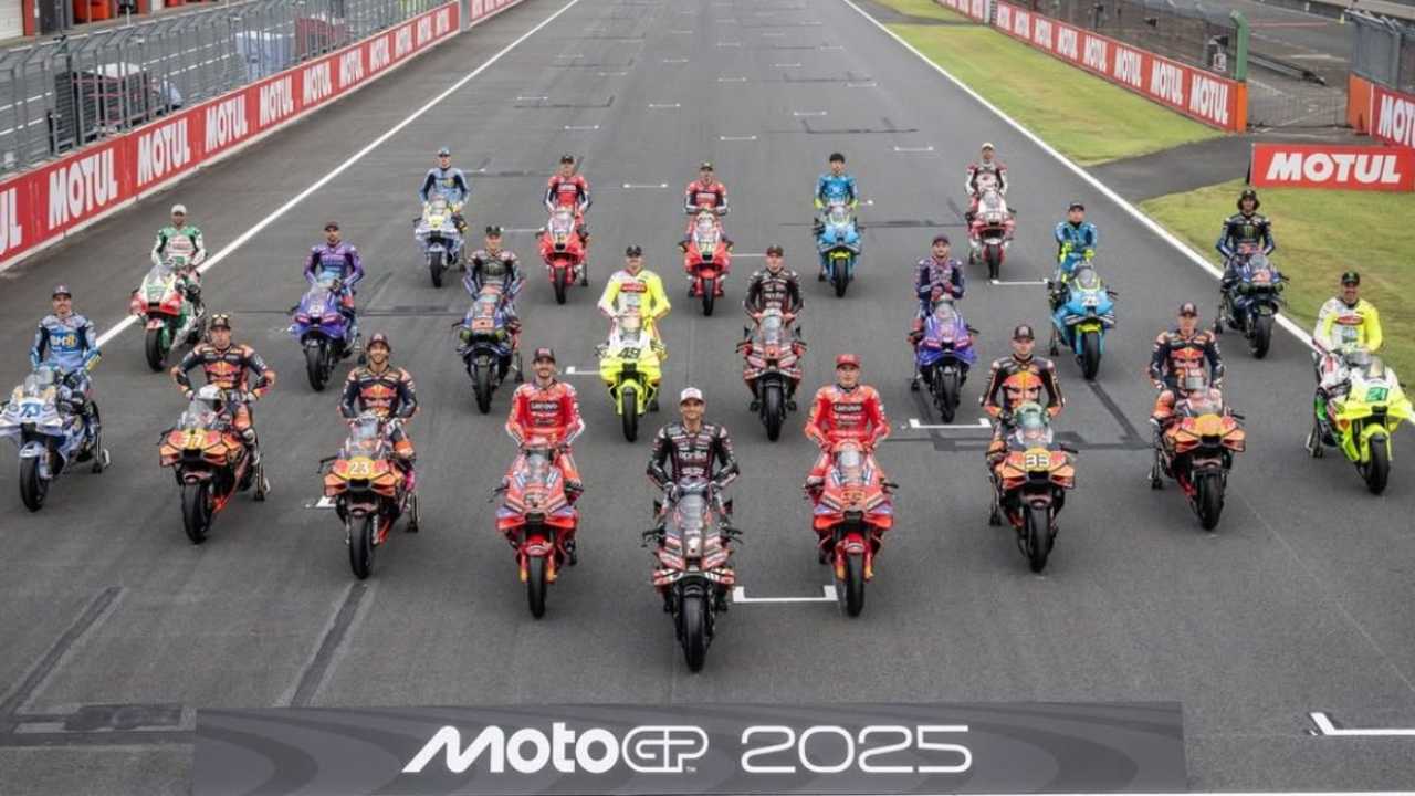 Search image article