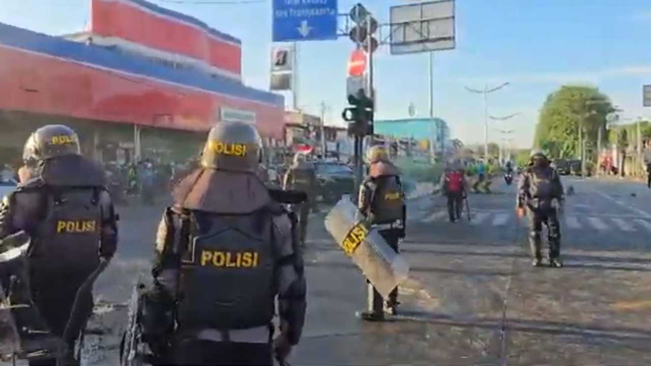 Search image article