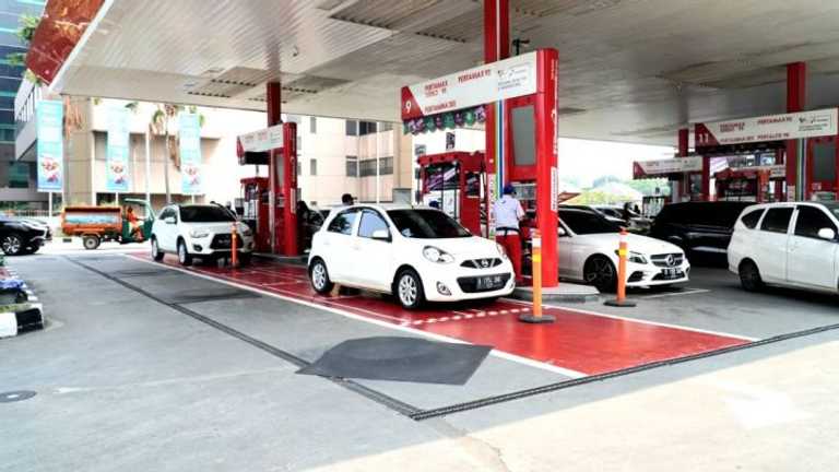 Search image article