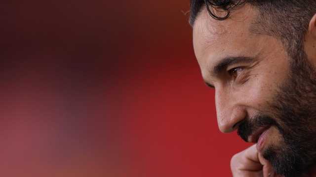 Search image article