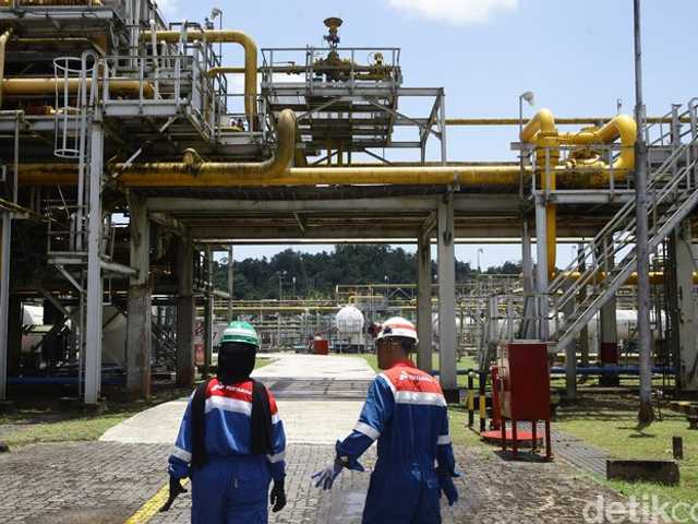 Search image article