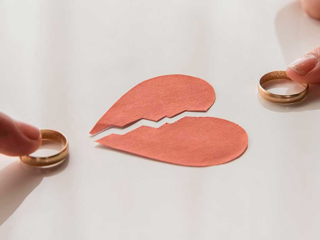 Search image article