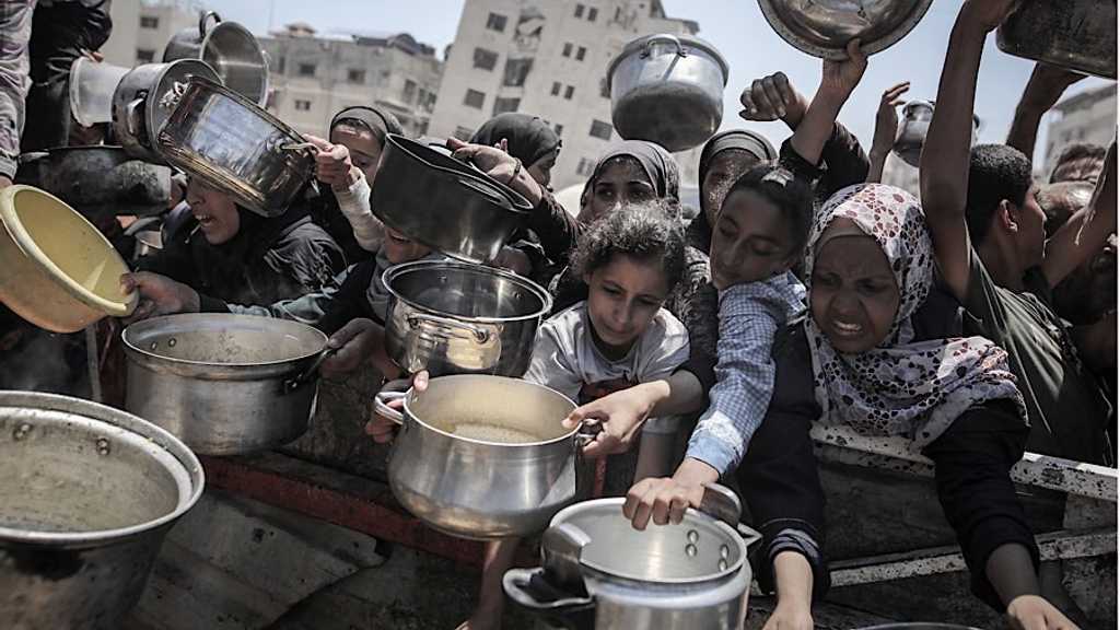 Search image article