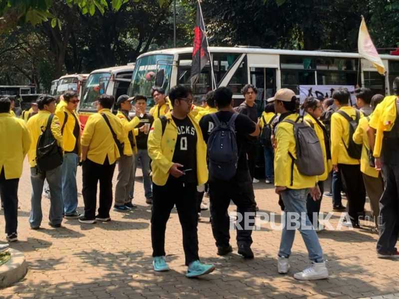 Search image article