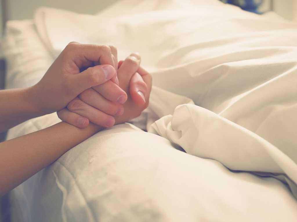 Search image article