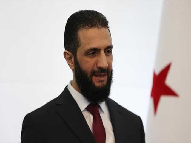 Search image article