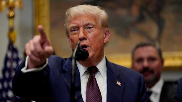 Search image article