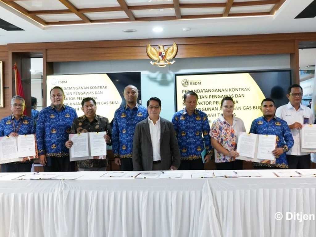 Search image article