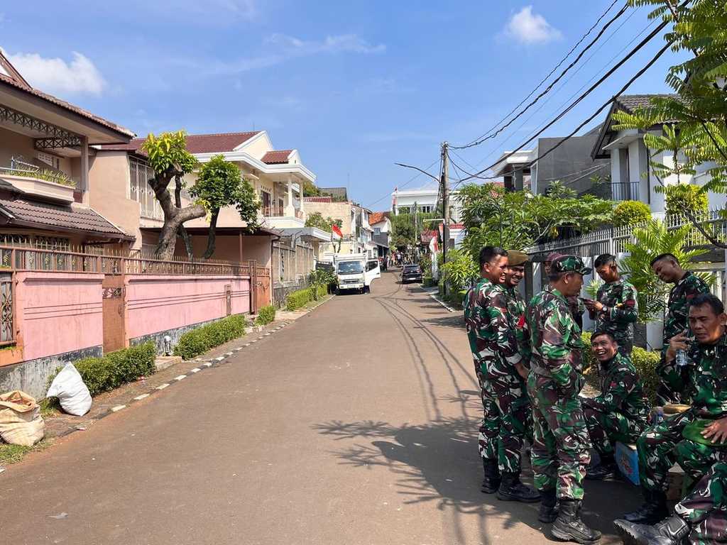 Search image article