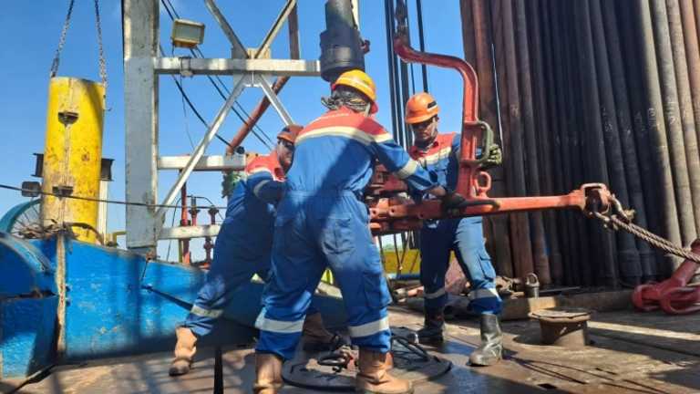 Search image article