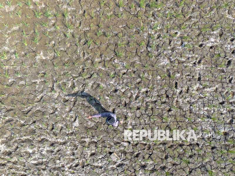 KPA: Ketimpangan penguasaan tanah di Indonesia semakin parah