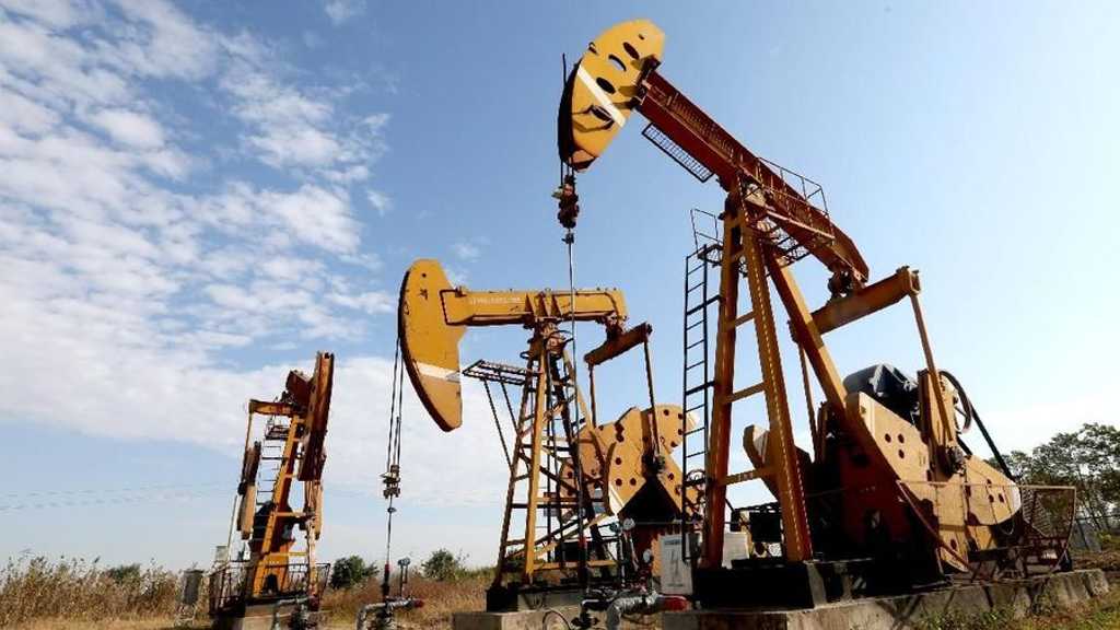 Search image article