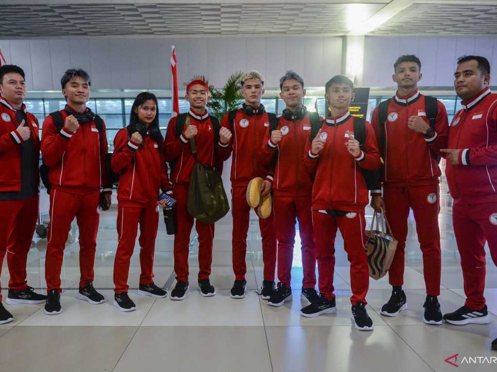 Search image article